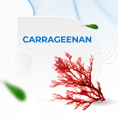Carrageenan in Men`s Care Products